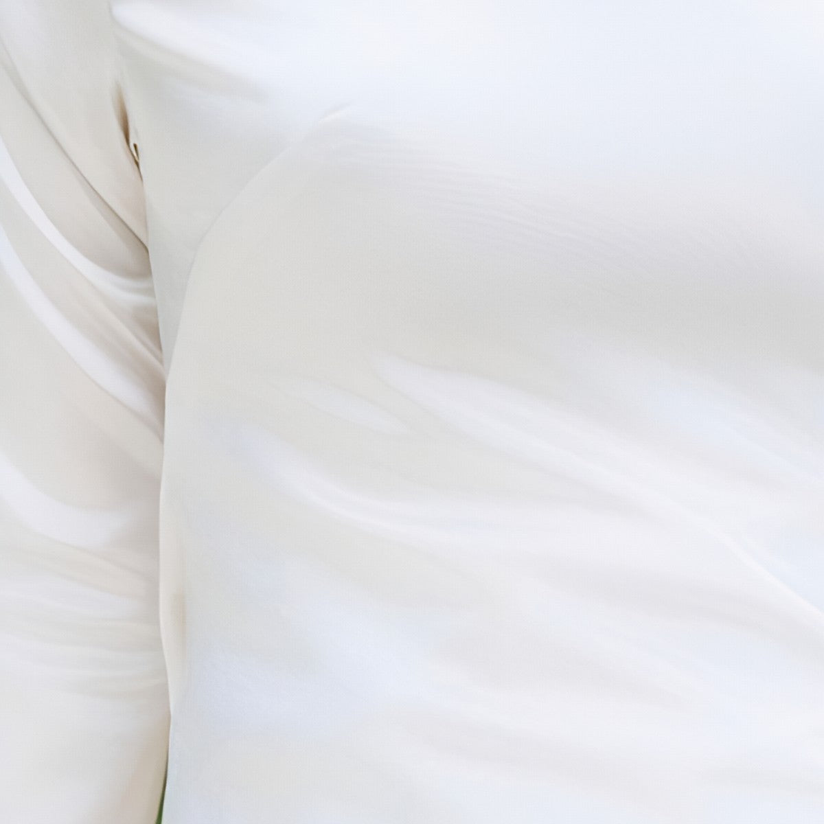Silk Charmeuse
