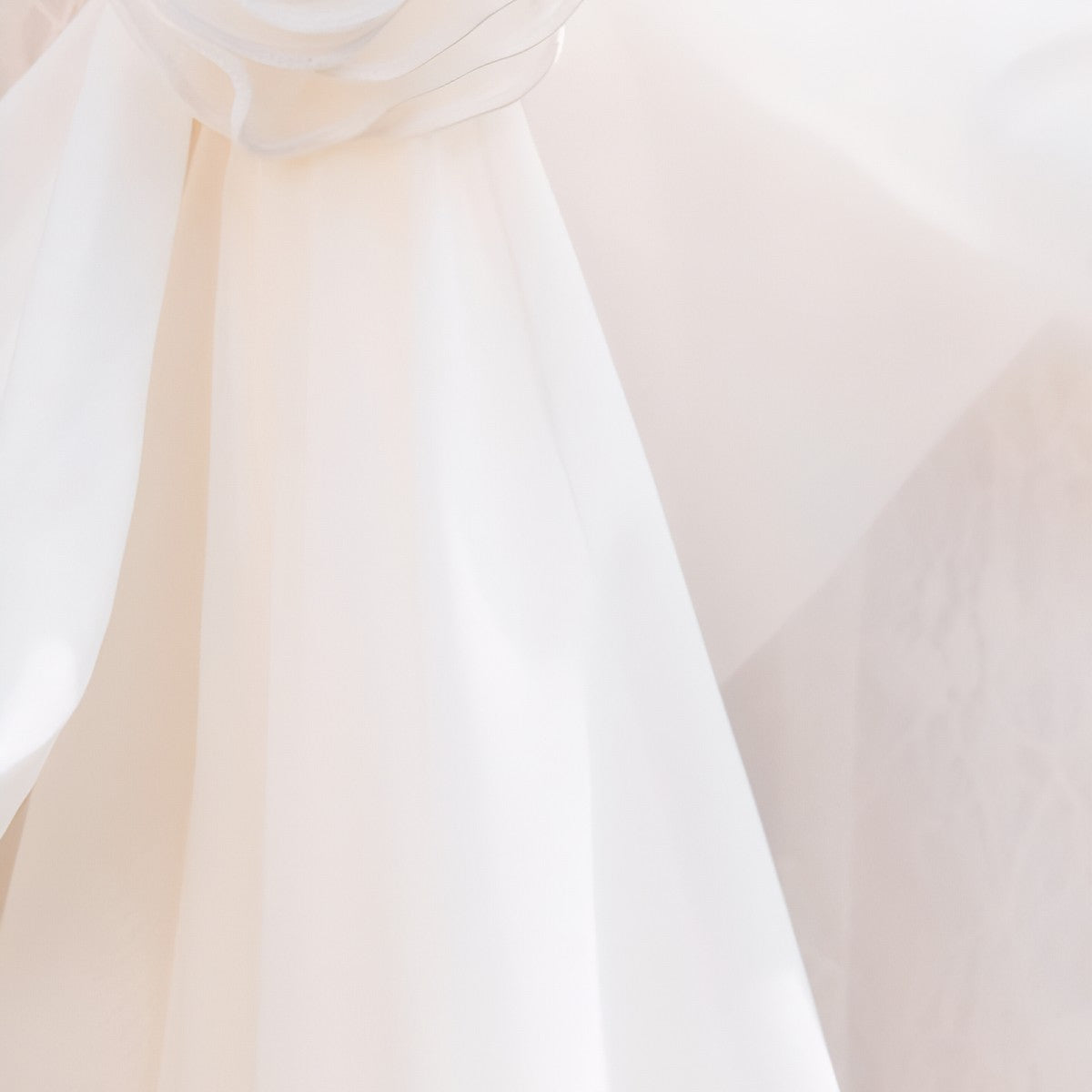 Silk Organza